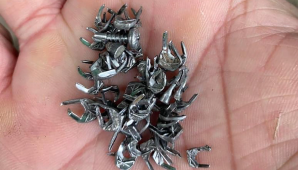 Tái diễn nạn rải đinh trên quốc lộ 1